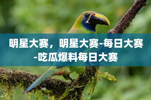 明星大赛，明星大赛-每日大赛-吃瓜爆料每日大赛