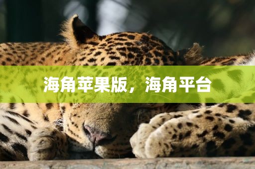 海角苹果版，海角平台