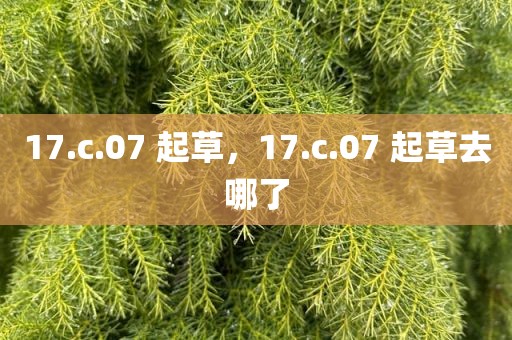 17.c.07 起草，17.c.07 起草去哪了
