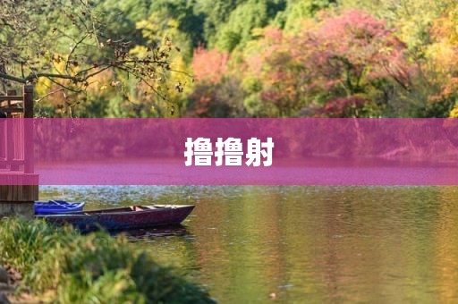 撸撸射