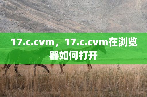 17.c.cvm，17.c.cvm在浏览器如何打开