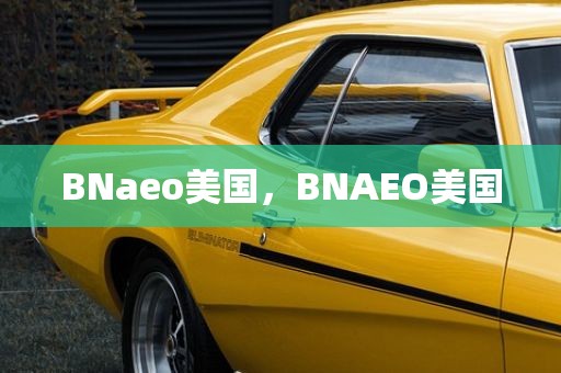 BNaeo美国，BNAEO美国