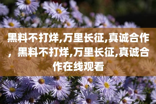 黑料不打烊,万里长征,真诚合作，黑料不打烊,万里长征,真诚合作在线观看