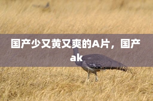 国产少又黄又爽的A片，国产 ak