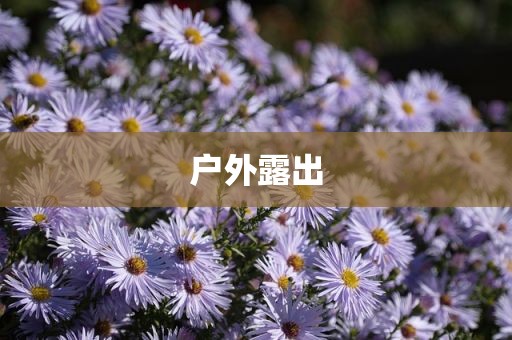 户外露出