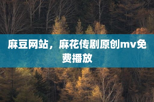 麻豆网站，麻花传剧原创mv免费播放