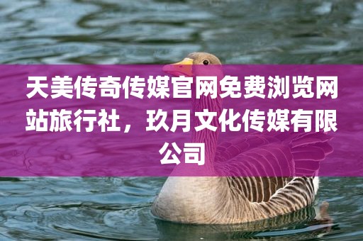 天美传奇传媒官网免费浏览网站旅行社，玖月文化传媒有限公司