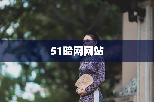 51暗网网站