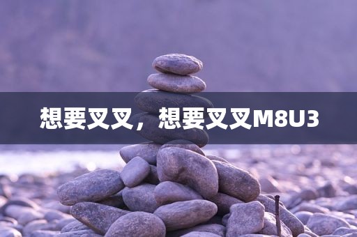 想要叉叉，想要叉叉M8U3