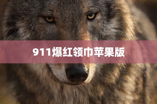 911爆红领巾苹果版