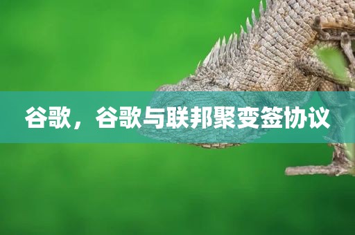 谷歌，谷歌与联邦聚变签协议
