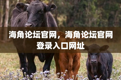 海角论坛官网，海角论坛官网登录入口网址