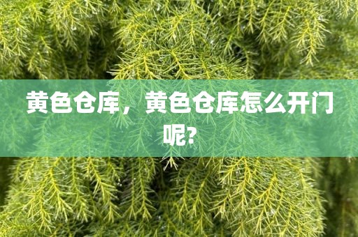 黄色仓库，黄色仓库怎么开门呢?