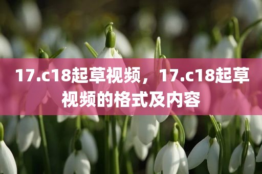 17.c18起草视频，17.c18起草视频的格式及内容