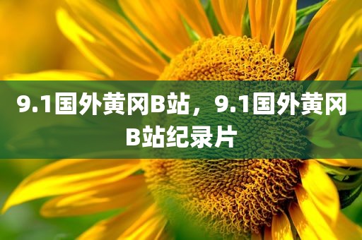 9.1国外黄冈B站，9.1国外黄冈B站纪录片