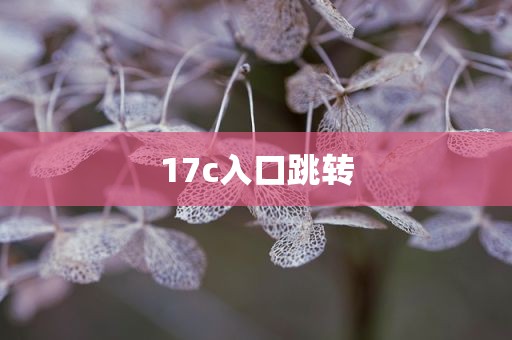 17c入口跳转