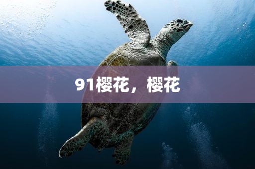91樱花，樱花