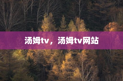 汤姆tv，汤姆tv网站