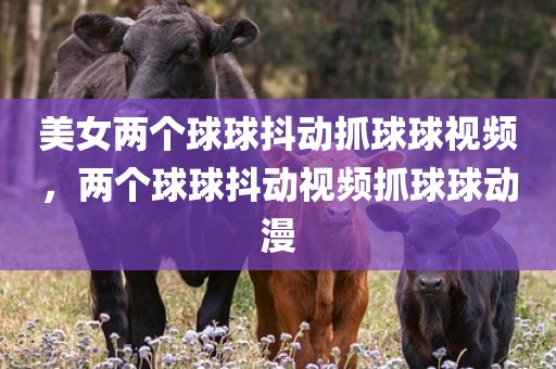 美女两个球球抖动抓球球视频，两个球球抖动视频抓球球动漫