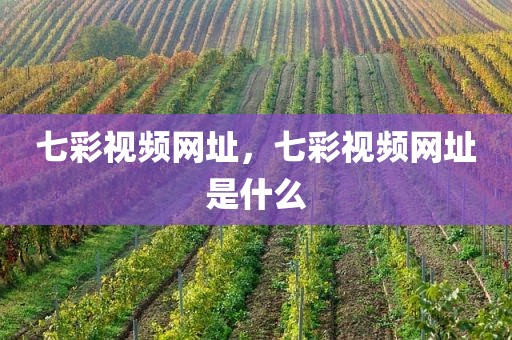 七彩视频网址，七彩视频网址是什么