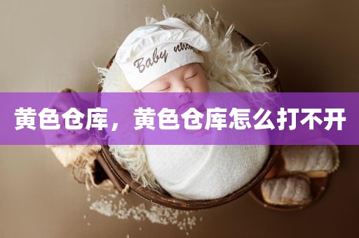 黄色仓库，黄色仓库怎么打不开