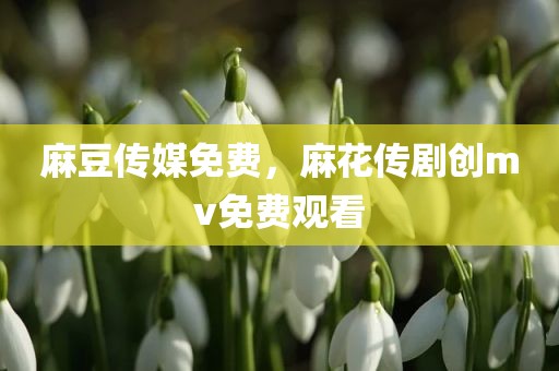 麻豆传媒免费，麻花传剧创mv免费观看
