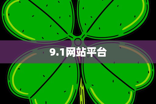 9.1网站平台