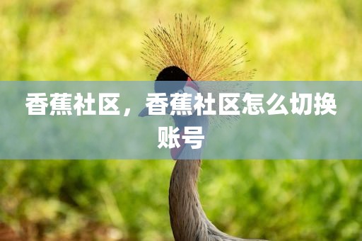香蕉社区，香蕉社区怎么切换账号