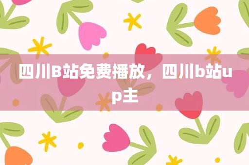 四川B站免费播放，四川b站up主