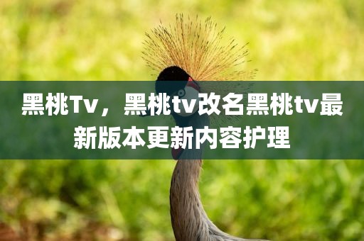 黑桃Tv，黑桃tv改名黑桃tv最新版本更新内容护理