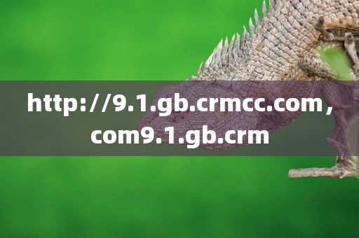 http://9.1.gb.crmcc.com，com9.1.gb.crm
