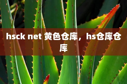hsck net 黄色仓库，hs仓库仓库