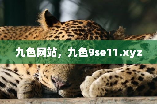 九色网站，九色9se11.xyz