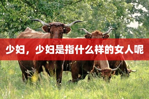 少妇，少妇是指什么样的女人呢