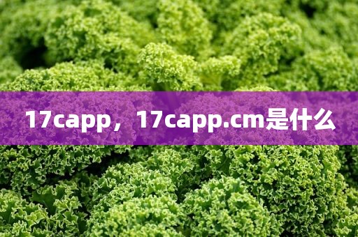 17capp，17capp.cm是什么