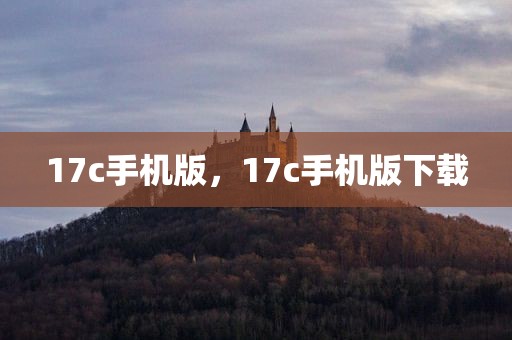 17c手机版，17c手机版下载