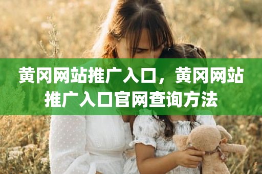 黄冈网站推广入口，黄冈网站推广入口官网查询方法