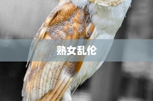熟女乱伦