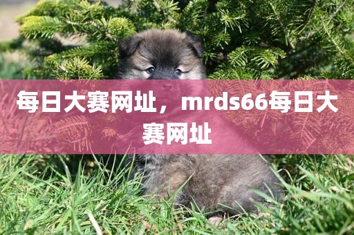 每日大赛网址，mrds66每日大赛网址