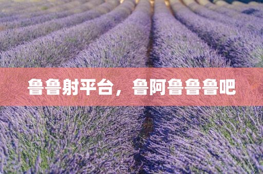 鲁鲁射平台，鲁阿鲁鲁鲁吧
