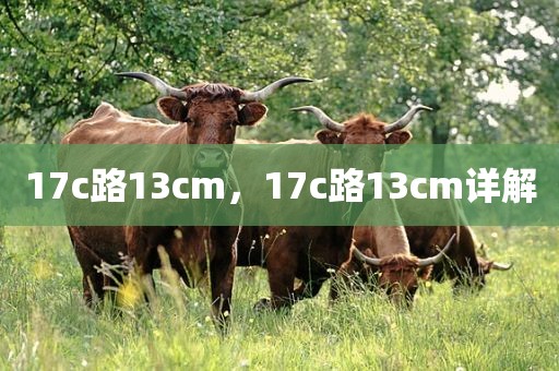 17c路13cm，17c路13cm详解