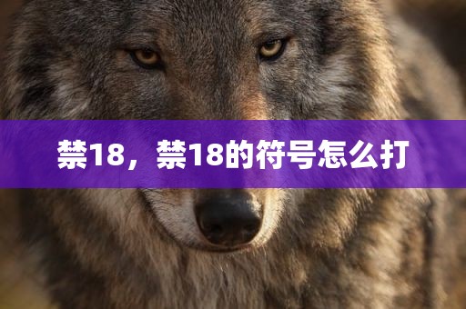 禁18，禁18的符号怎么打