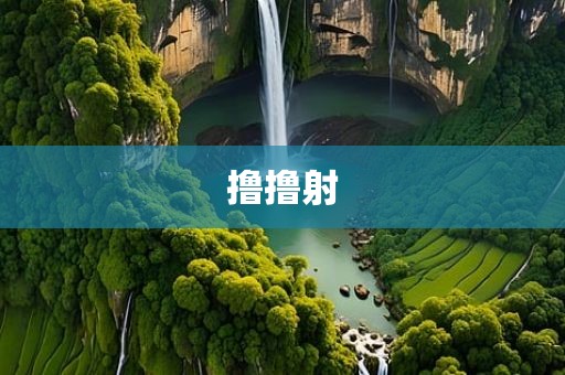 撸撸射