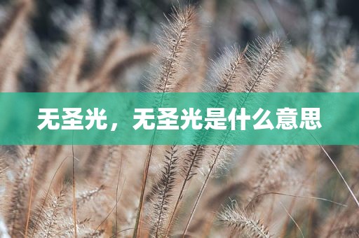 无圣光，无圣光是什么意思