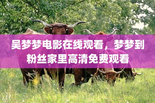吴梦梦电影在线观看，梦梦到粉丝家里高清免费观看