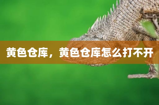 黄色仓库，黄色仓库怎么打不开