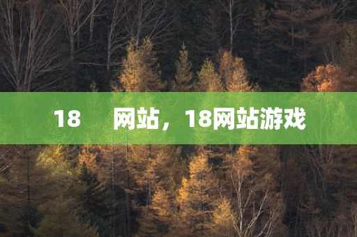 18     网站，18网站游戏