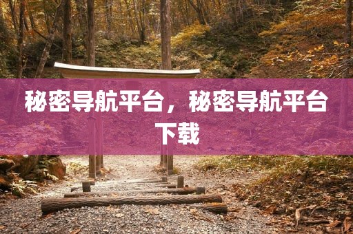 秘密导航平台，秘密导航平台下载