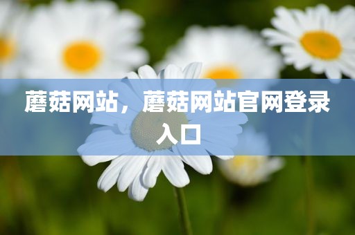 蘑菇网站，蘑菇网站官网登录入口