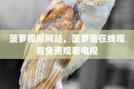 菠萝视频网站，菠萝蜜在线观看免费观看电视